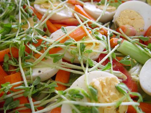 Proper Food Combining - Salad