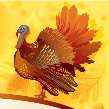 An Illustration of a Turkey