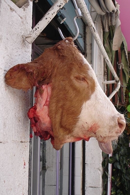 A Butchered Cow's Head Hanging Outside a Meat Shop