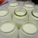 Home Probiotics – Making Your Own Yogurt