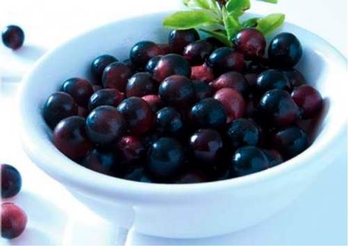 Acai Berries in a Bowl