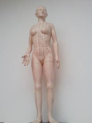 Acupuncture Puppet Model