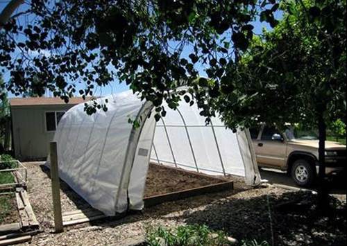 A Portable Greenhouse in a Backyard